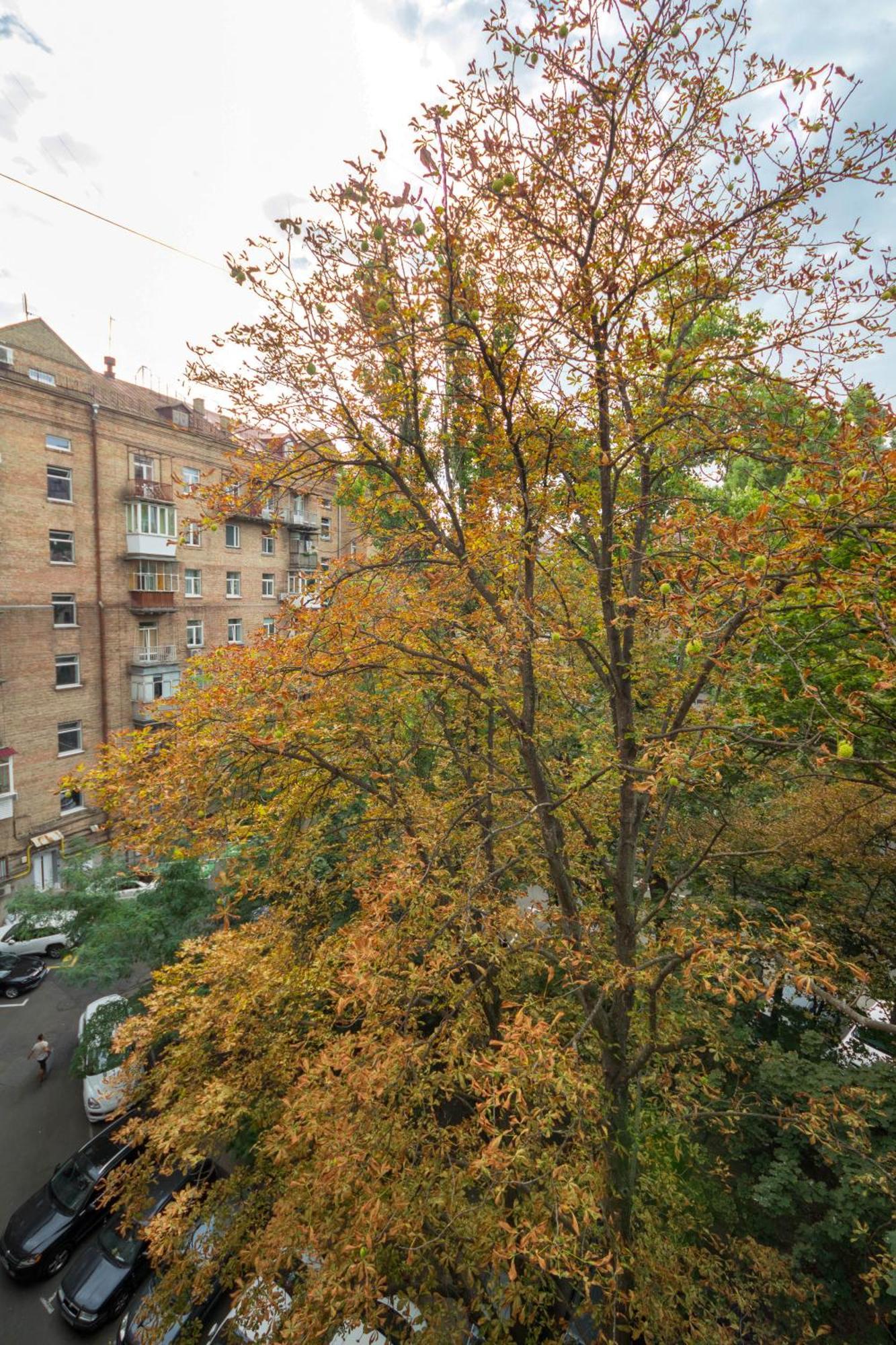 Central Apartments Киев Екстериор снимка